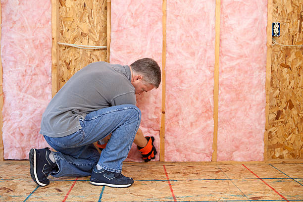 Types of Insulation We Offer in MD